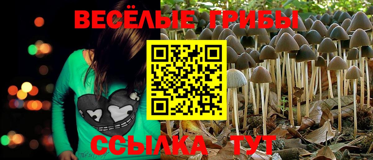 что такое наркотик  Псилоцибиновые грибы Psilocybe  Боровичи  Вход с VPN  Псилоцибиновые грибы Cubensis 