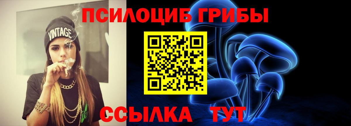 Псилоцибиновые грибы Cubensis Боровичи